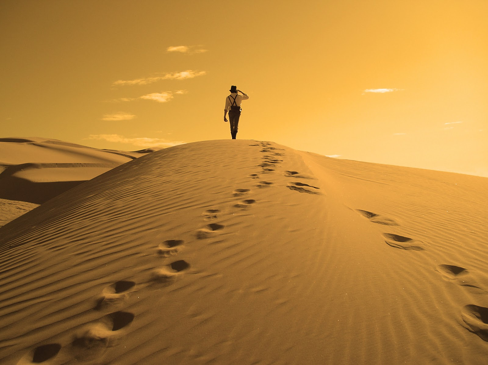 Treker walking by a desert
